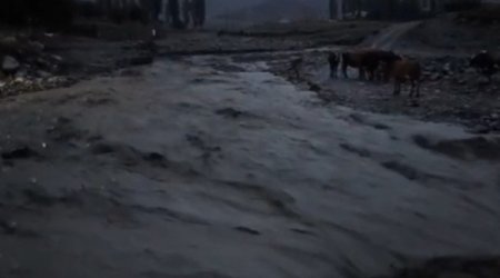 Qubada sel körpünü aparıb - Video
