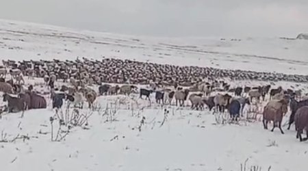 Kəlbəcər və Laçına qar yağıb - Video
