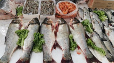 Bakıda balıq yarmarkası fəaliyyətə başlayıb
