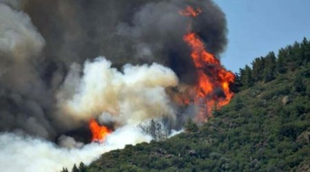 Türkiyədə meşə yanır, təyyarə və helikopterlər cəlb olunub
