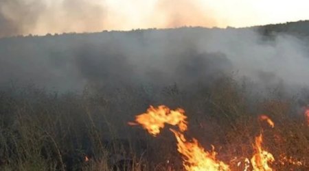 МЧС справилось с пожаром в Гызылагаче