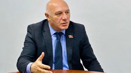 Arzuxan Əlizadə: Məhkəmə qərarlarının yalnız 50 faizi icra olunur
