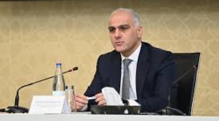 Yeni qanun Almaniya, Hollandiya kimi ölkələrin təcrübəsinə əsaslanır - Nazir müavini