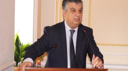 Əli Məsimli: Kənd təsərrüfatı sektorunda geriləmə var