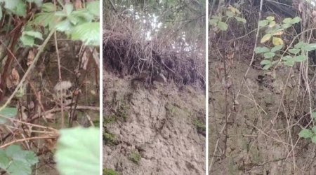 В Губе обнаружены человеческие останки