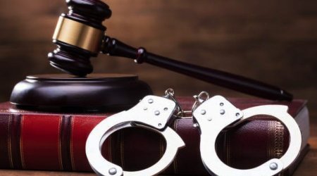 Azerbaijan tightens penalties for animal abuse