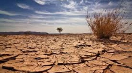 2025-ci ilin avqustu Avropada son on ilin ən quraq ayı olub