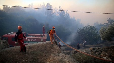 Türkiyədə meşə yanğınlarında həlak olanlara şəhid statusu veriləcək