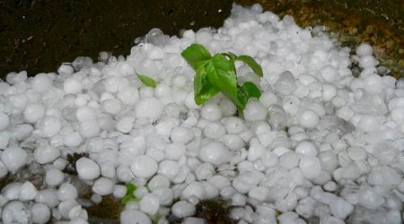 Kəlbəcərə dolu düşüb