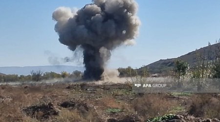 Goranboyda heyvanlar minaya düşüb