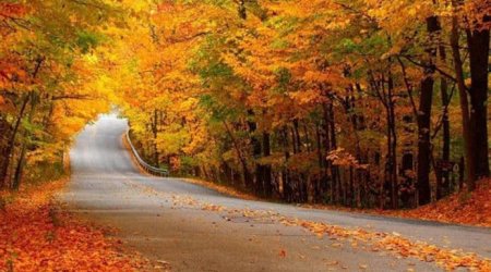 Azərbaycana payız gəlib