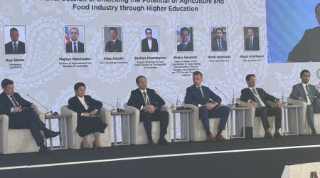 Azərbaycan bir sıra məhsulların xarici ölkələrə ixracı üçün icazələr üzərində çalışır-Zəkiyə Mustafayeva