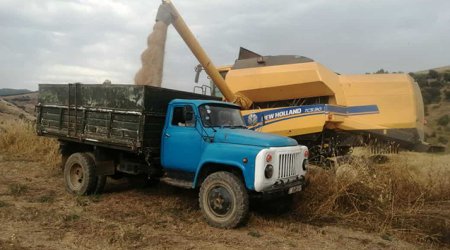 В Казахстане планируют собрать 24 млн тонн зерна