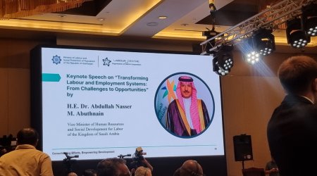 Ərəbistanda özəl sektorda əməkhaqqı sistemini izləmək üçün dövlət proqramı var