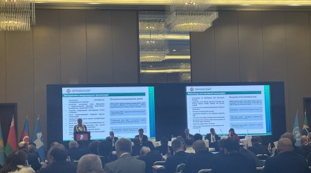 2030-cu ildə MDB ölkələrində əhali və mənzil siyahıya alınması monitorinqləri müzakirəyə çıxarılacaq