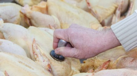 В Азербайджане мясо и птица будут продаваться только с ветеринарным штампом