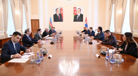 Əli Əsədov Serbiya Milli Assambleyasının sədri ilə görüşüb