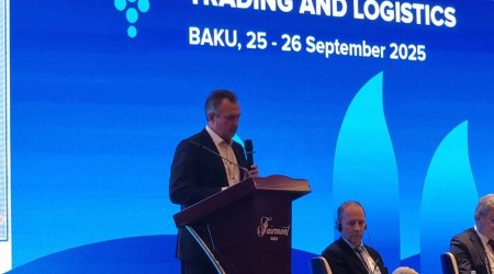Dünya üzrə bunker yanacağının qiymətləri kəskin azalıb - Sergey İvanov