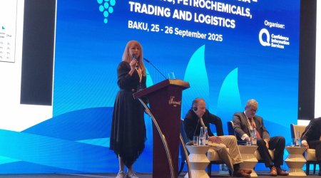 Son on ildə bəzi ölkələrdə təbii qaz hasilatında artım qeydə alınıb - "NAANS-Media"nın icraçı direktoru