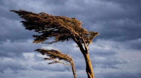 Küləkli hava şəraiti ilə bağlı sarı və narıncı xəbərdarlıq verilib