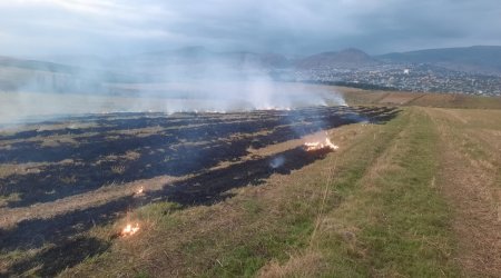 Şamaxıda yanğın törədən şəxs məsuliyyətə cəlb olunub