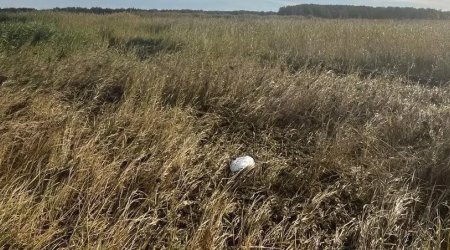 На западе Эстонии обнаружили обломок дрона