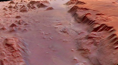 NASA scientists propose mushroom-based habitats on Mars
