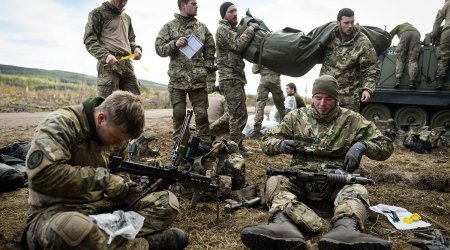 Дания срочно призывает солдат