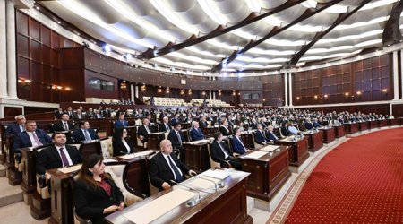 MM Anım Gününün beşinci ildönümü ilə əlaqədar bəyanat qəbul edib