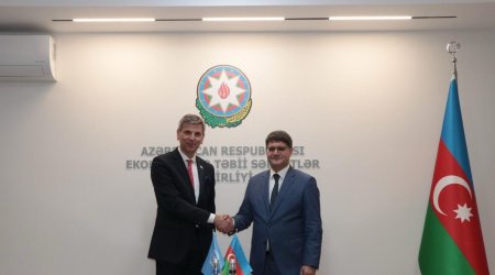 ETSN və FAO arasında ətraf mühit məsələləri müzakirə olunub