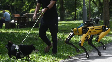 Çin alimləri Ay missiyaları üçün robot itləri lava mağaralarında sınaqdan keçirir