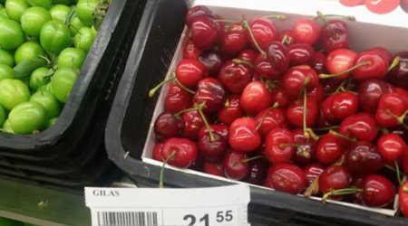 Azərbaycanın meyvə-tərəvəz ixracı 2025-ci ilin ilk 8 ayında 539 min tonu ötüb