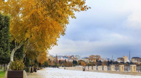 Синоптики о погоде на завтра