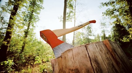 Незаконная вырубка деревьев в трех регионах Азербайджана