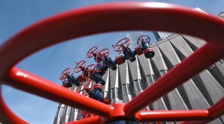 Европарламент хочет быстрее отказаться от российских энергоносителей