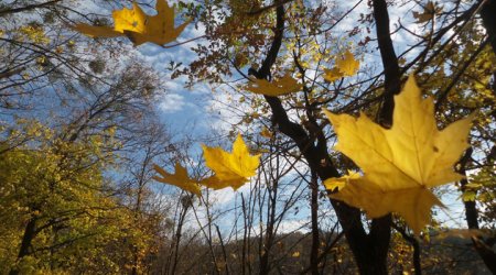Синоптики предупредили о сильном ветре в Азербайджане