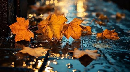 Sabah bəzi rayonlarda yağış gözlənilir - Hava proqnozu