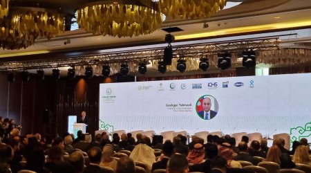 “HALAL” qida məhsullarının dövriyyəsinə nəzarət gücləndirilib - AQTA