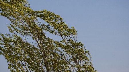 Hava yağmursuz keçir -FAKTİKİ HAVA