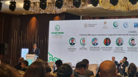 KOBİA ilə birgə həyata keçirilən proqramlar yaşıl iqtisadiyyatın təşviqində mühüm nəticələr verib