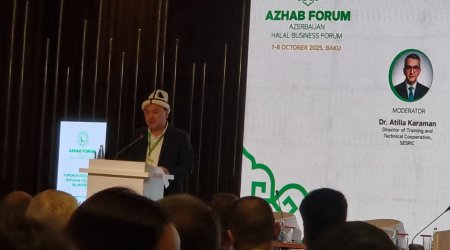 Qırğız rəsmisi: Halal sənayesi iqtisadiyyatın yeni mərhələsi ola bilər