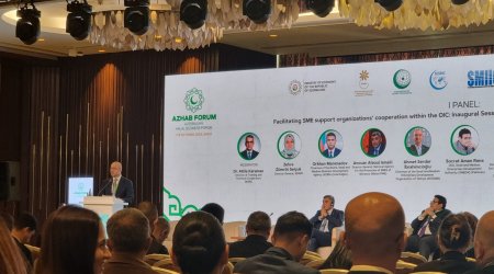 KOSGEB rəhbəri: KOB-ların gücləndirilməsi qlobal rəqabətə tab gətirmək üçün əsas şərtdir