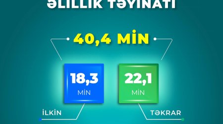 Doqquz ayda 40,4 min şəxsə əlillik təyin olunub