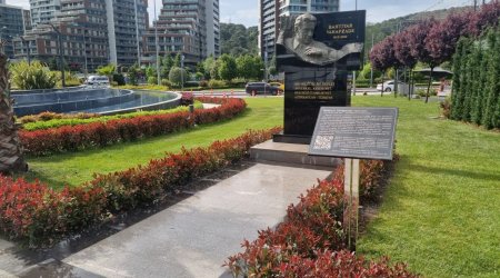 Bakhtiyar Vahabzadənin adı İstanbulda əbədiləşdirilib