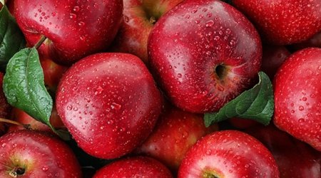 Alma ixracının həcmi artıb