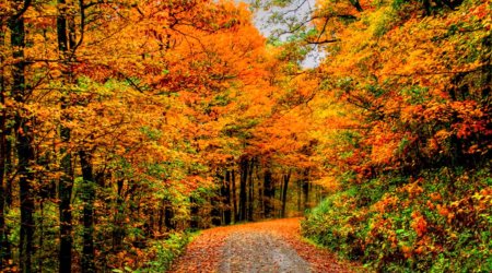 Погода на завтра