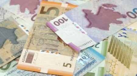 Azərbaycanda vergi ödəyicilərinin sayı 5 %-ə yaxın artıb