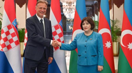 Гафарова встретилась с Яндроковичем