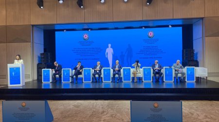 Али Нагиев: В Азербайджане числится 3 990 пропавших без вести