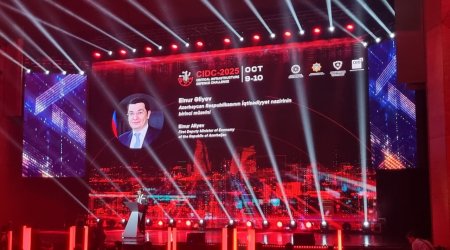 2025-ci il kiberhücumların iqtisadi dəyəri 10 trilyonu ötəcək - Nazir müavini